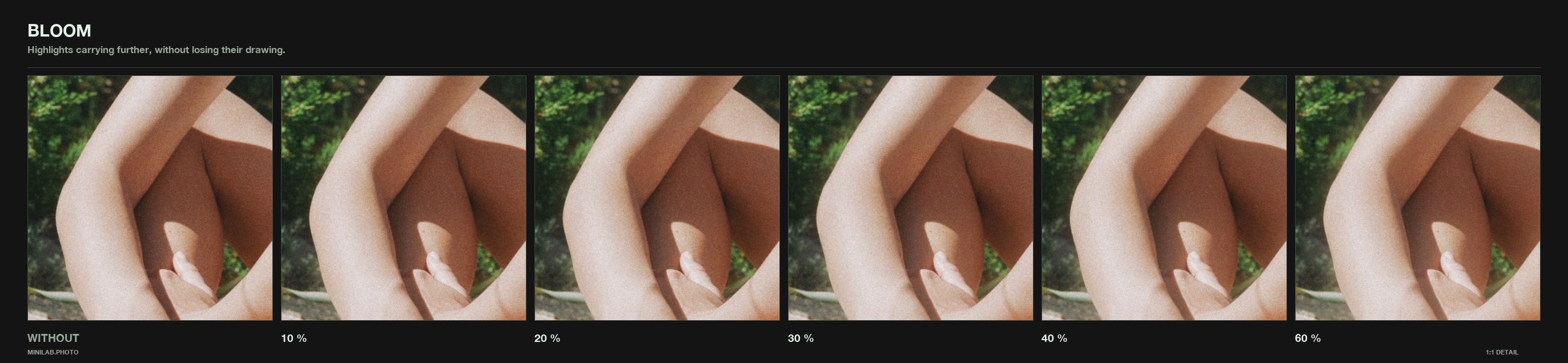 Bloom, dialled - same 1:1 crop at rising strength, WITHOUT on the left