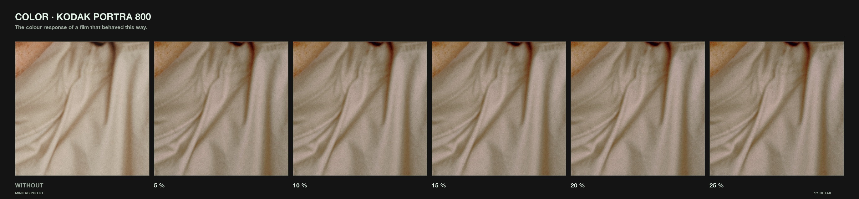 Portra 800, dialled - same 1:1 crop at rising strength, WITHOUT on the left