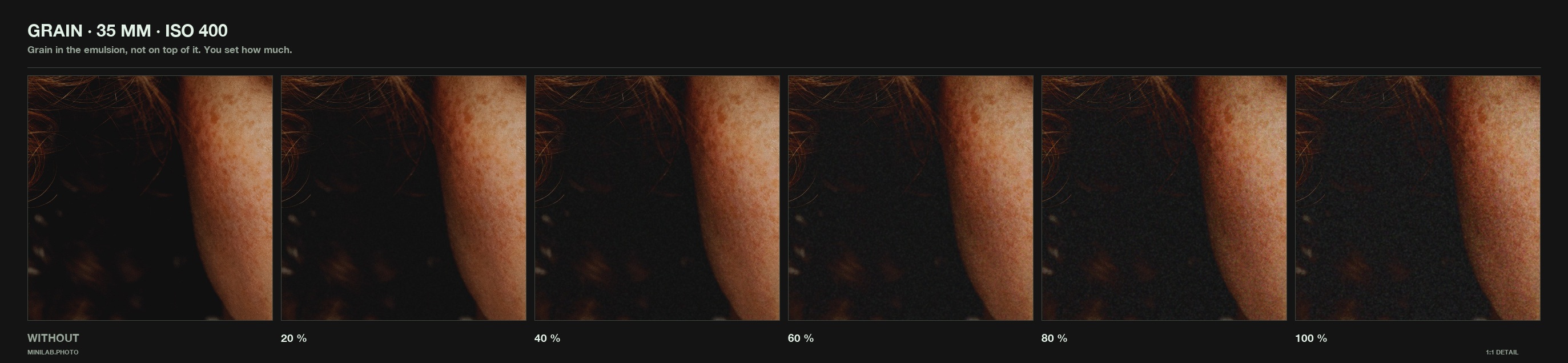 Grain, dialled - same 1:1 crop at rising strength, WITHOUT on the left