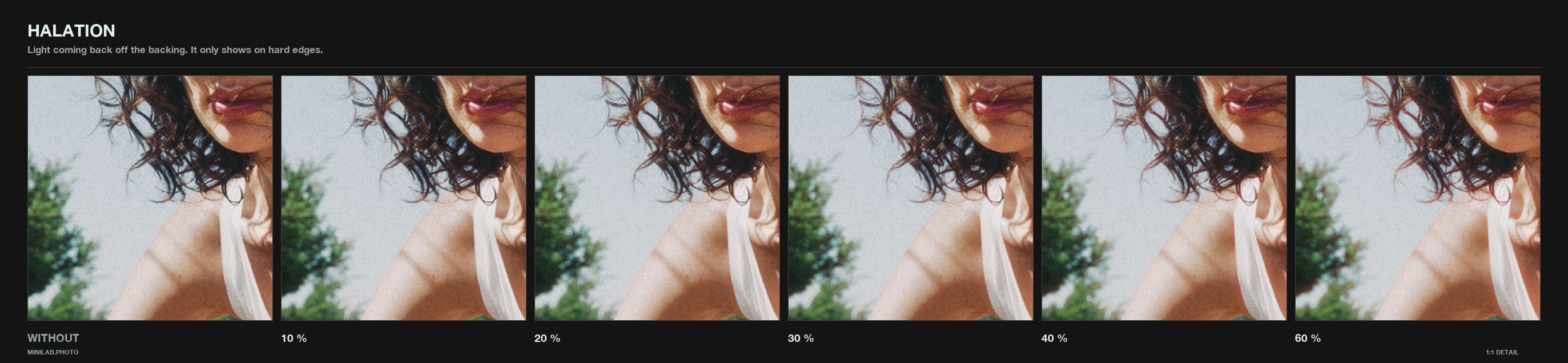 Halation, dialled - same 1:1 crop at rising strength, WITHOUT on the left