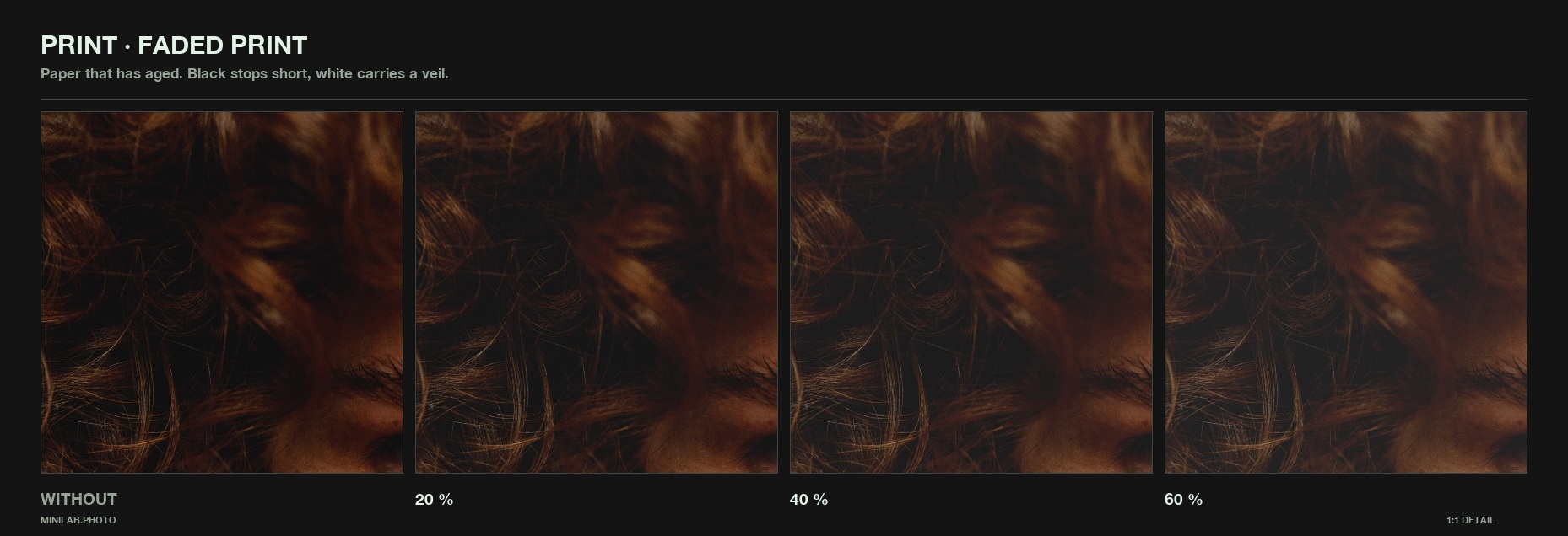 Faded Print, dialled - same 1:1 crop at rising strength, WITHOUT on the left