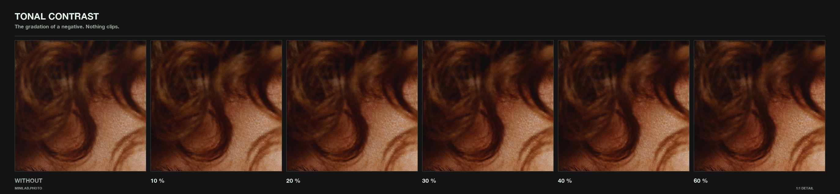 Tonal Contrast, dialled - same 1:1 crop at rising strength, WITHOUT on the left