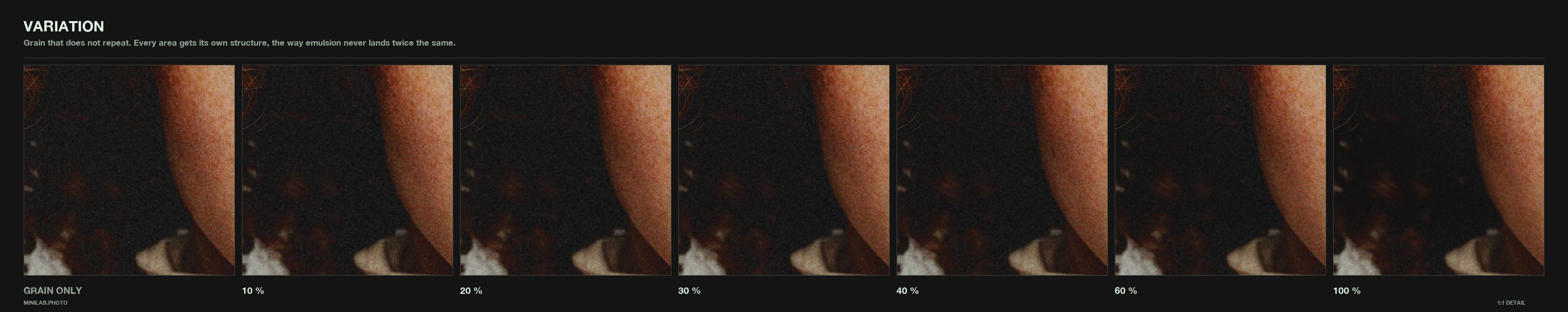Variation, dialled - same 1:1 crop at rising strength, grain only on the left